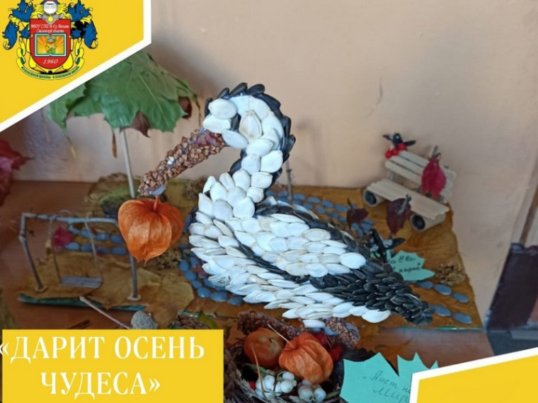 Дарит осень чудеса.